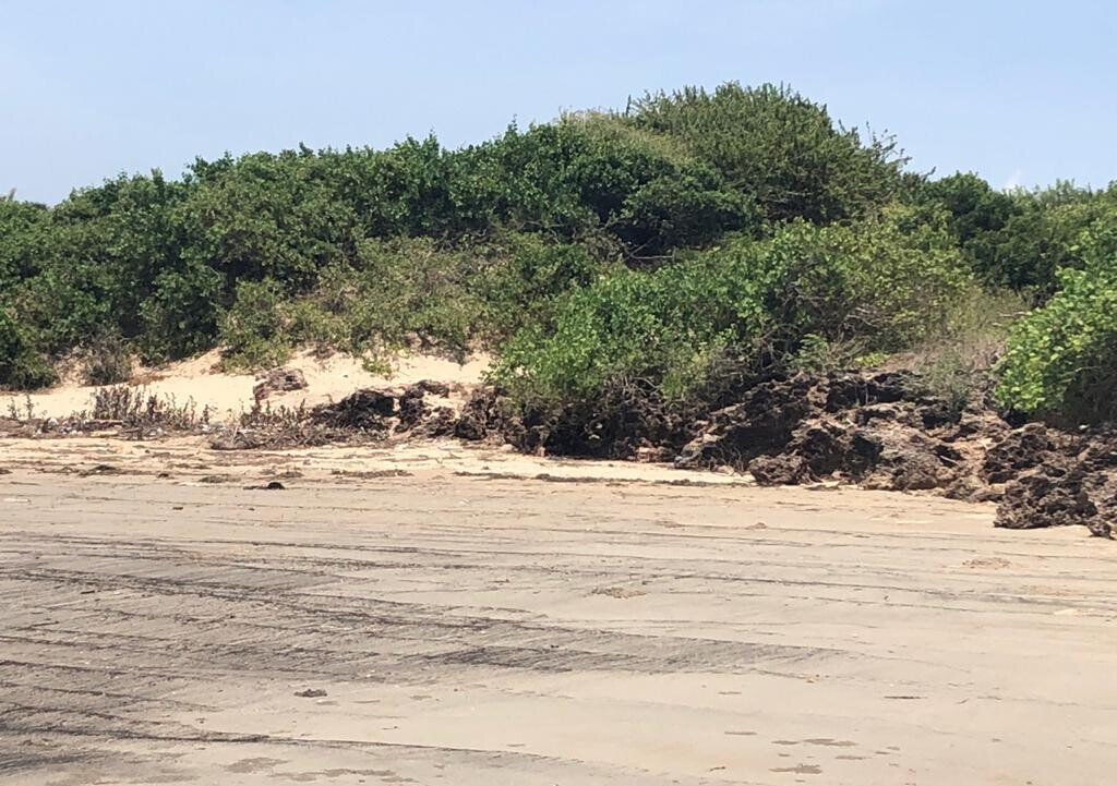 10-Acre Beachfront Land in Malindi