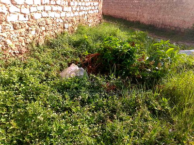 For Sale:0.75 Acres Within a 150metre Radius of Shelly Beach - Image 12