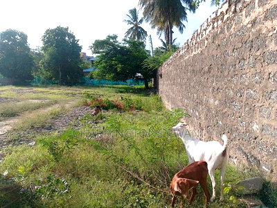 For Sale:0.75 Acres Within a 150metre Radius of Shelly Beach - Image 3