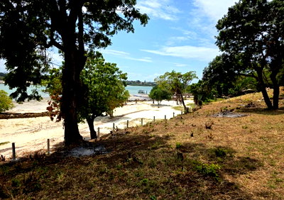 2-Acre Beachfront Land in Shanzu