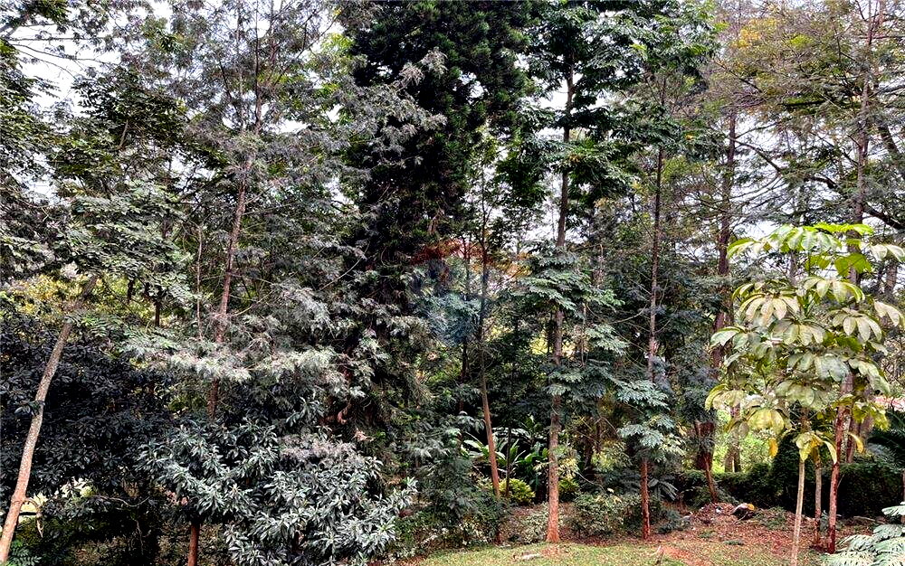 1-Acre Plot with Parking for KSh 130M