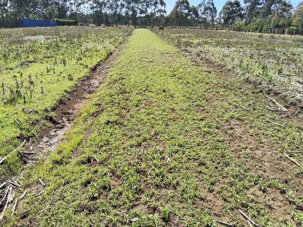 Prime Residential Plots in Chepkanga Centre