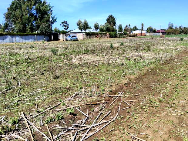 Prime Residential Plots in Chepkanga Centre