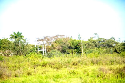 Thika, Munyu 50x100 Plots. - Image 7