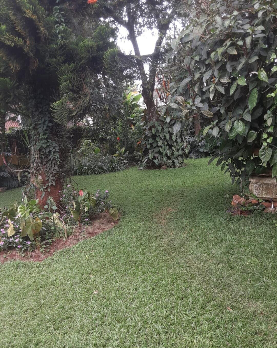 Half Acre 3BR Home with Garden