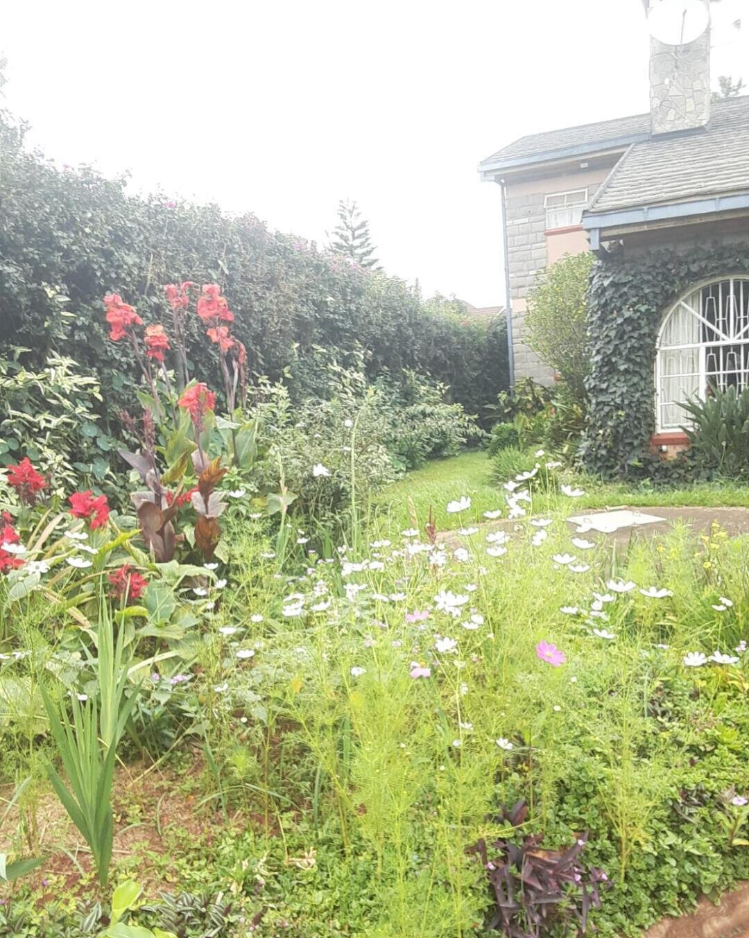 Half Acre 3BR Home with Garden
