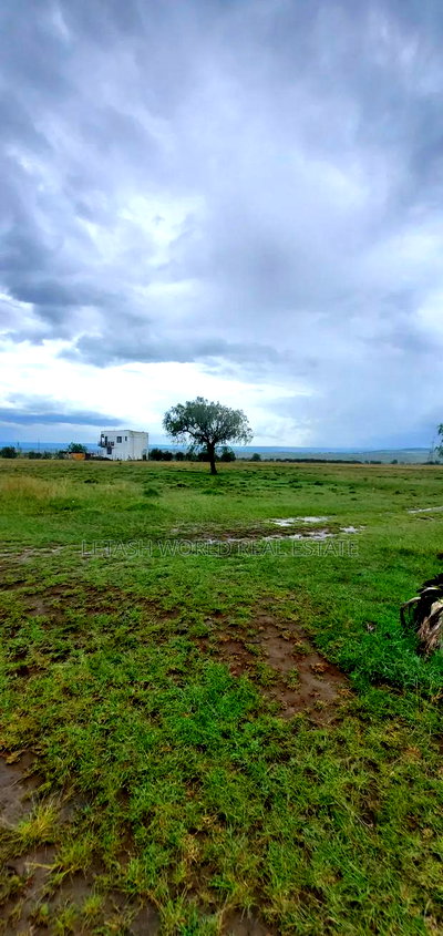 620,000 Gets You a 50 by 100 Plot of Land in Naivasha - Image 6