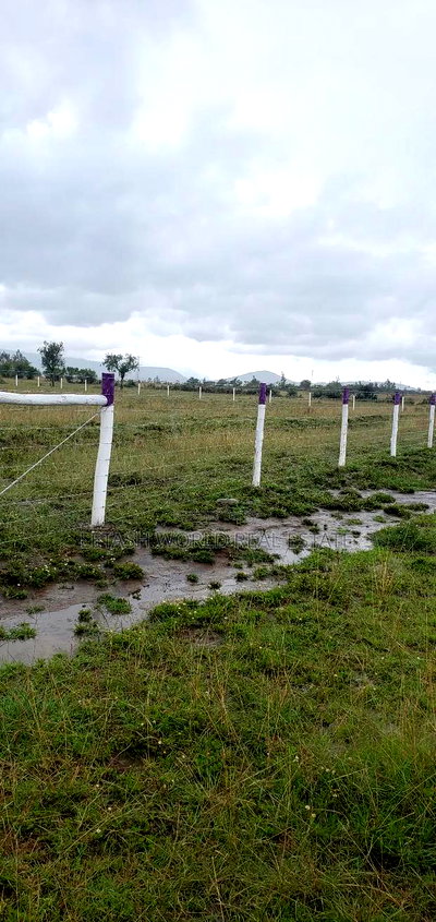 620,000 Gets You a 50 by 100 Plot of Land in Naivasha - Image 5