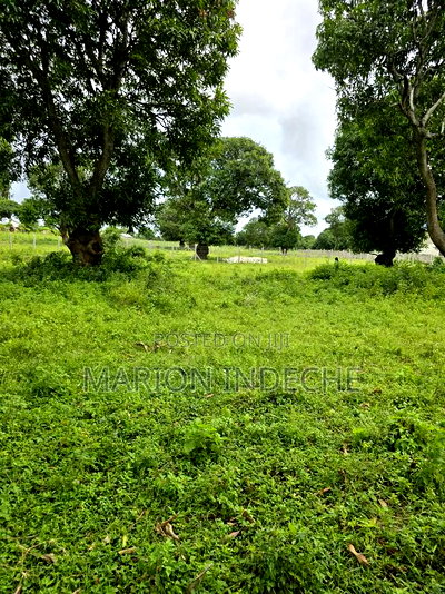 Hidden Gem in Malindi 50by100ft at - Image 5