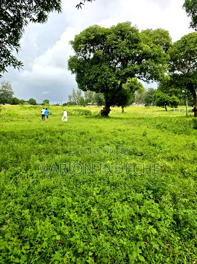 Hidden Gem in Malindi 50by100ft at - Image 4