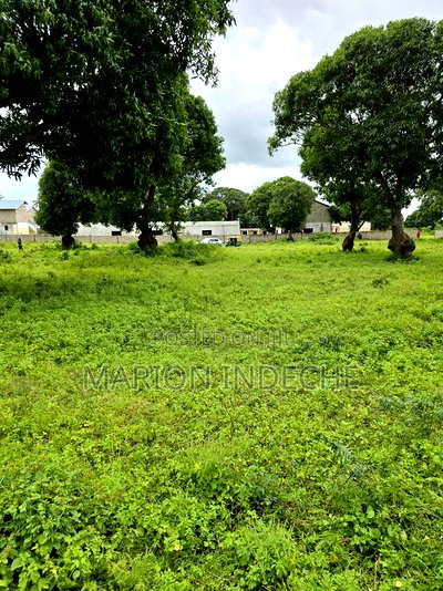 Hidden Gem in Malindi 50by100ft at - Image 6