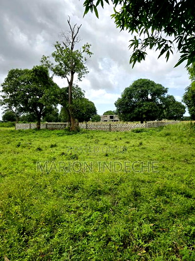 Hidden Gem in Malindi 50by100ft at - Image 1
