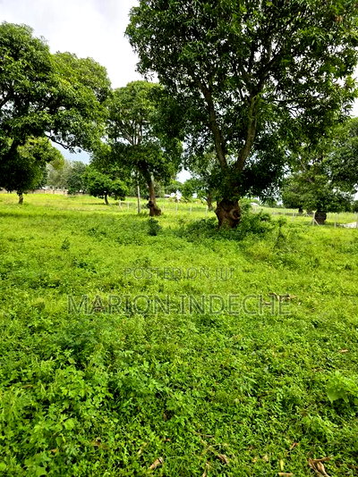 Hidden Gem in Malindi 50by100ft at - Image 2