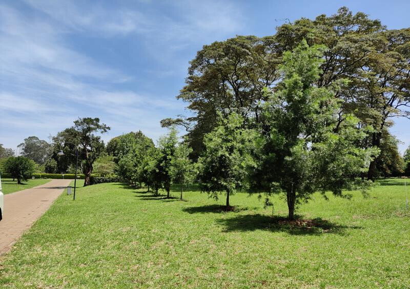 1-Acre Karen Plot with Garden at KSh 105M