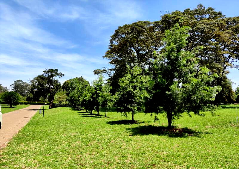 1-Acre Karen Plot with Garden at KSh 105M
