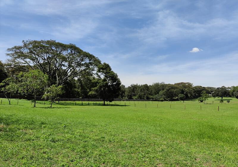 1-Acre Karen Plot with Garden at KSh 105M
