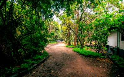 5-Acre Garden Land with Parking - Kitisuru