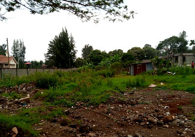 0.86 Acre Garden Plot with Parking - Thome
