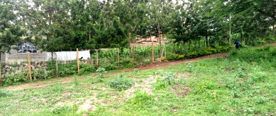 Quarter Acre Plot at KSh 6M