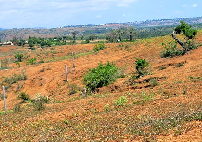 5-Acre Plot for KSh 350K