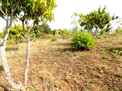 Makuyu 50x100 Plots. - Image 3