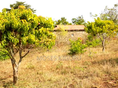 Makuyu 50x100 Plots. - Image 1