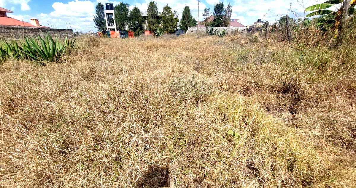 Garden Plot in Katani