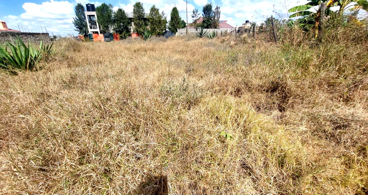 Garden Plot in Katani