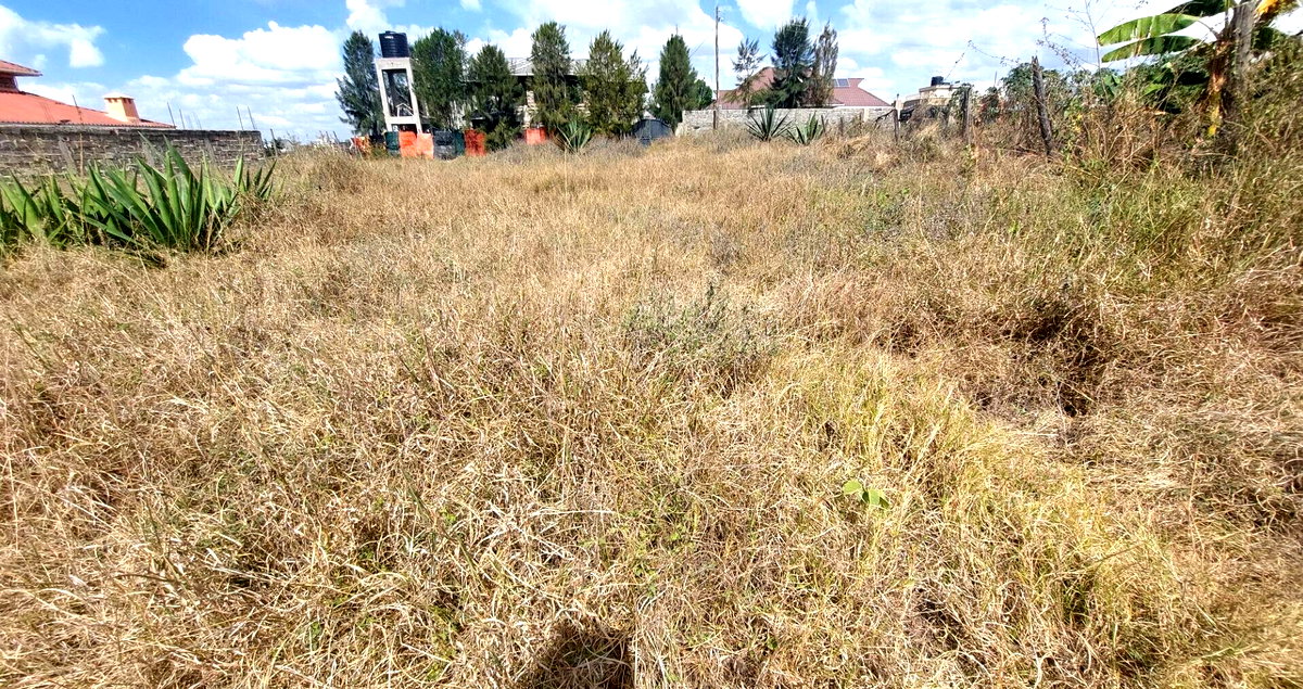Garden Plot in Katani