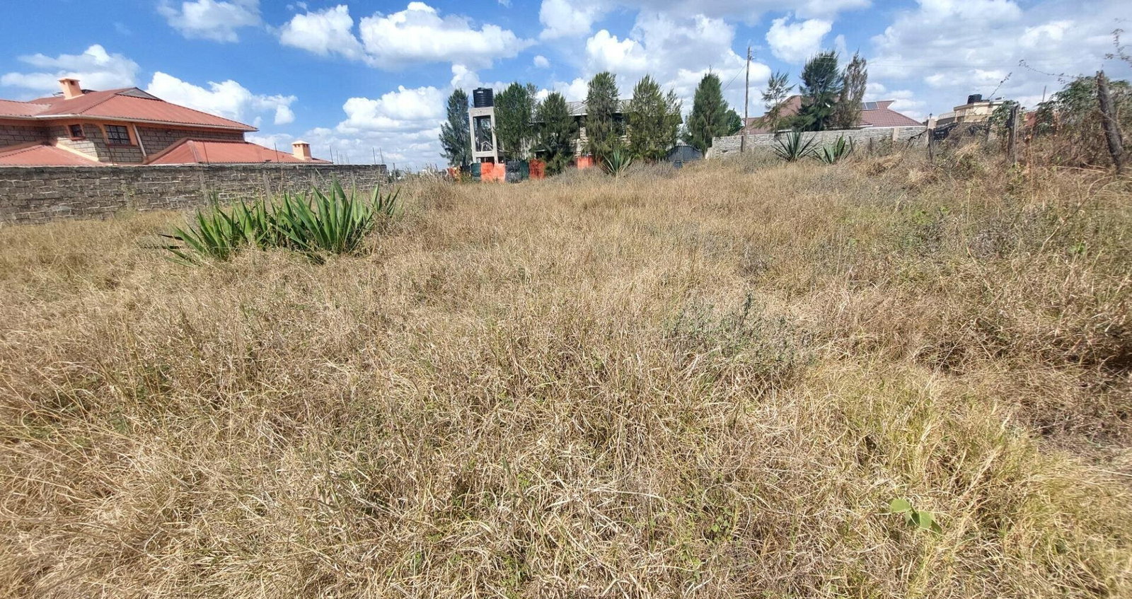 Garden Plot in Katani