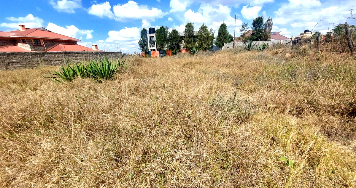 Garden Plot in Katani