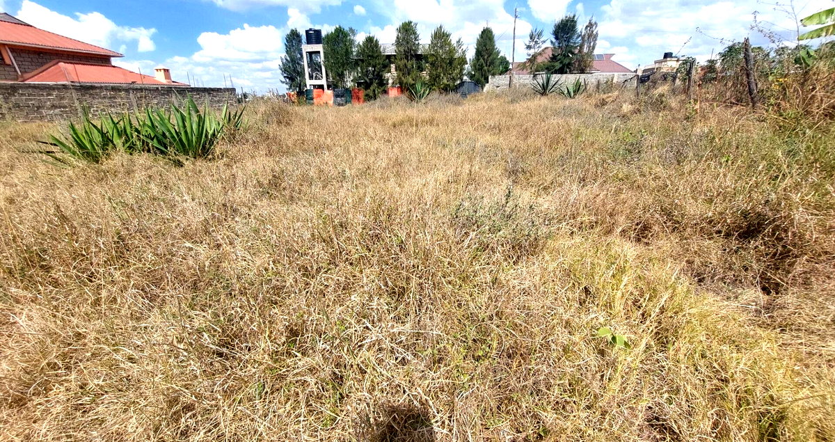 Garden Plot in Katani