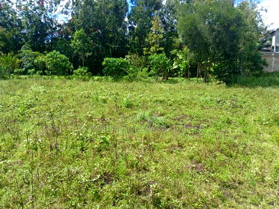 Quick Distress Deal! Quarter Acre Plot in Matasia Near Shell - Image 3