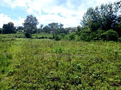 Quick Distress Deal! Quarter Acre Plot in Matasia Near Shell - Image 2
