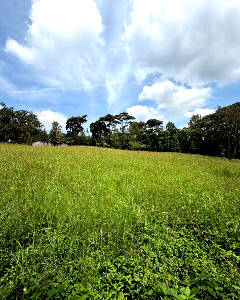 2-Acre Karen Plot at KSh 170M