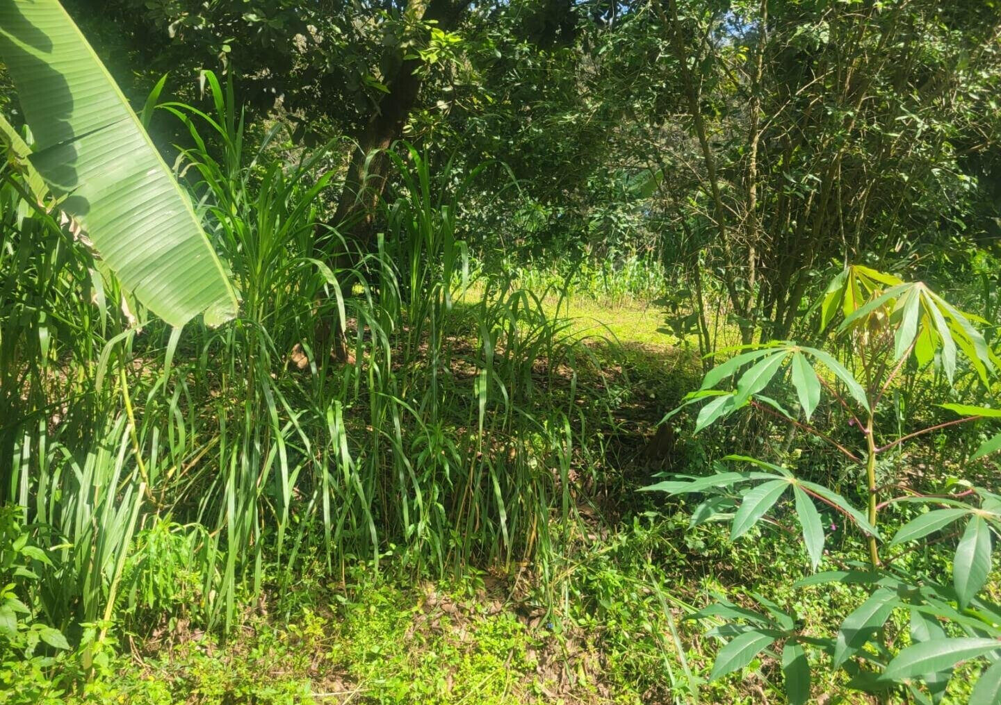 KSh 23M Garden Plot in Ngong