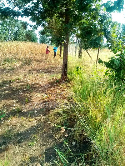 2 Acres at Rukanga Sagana Area 1.5km From Highway - Image 6