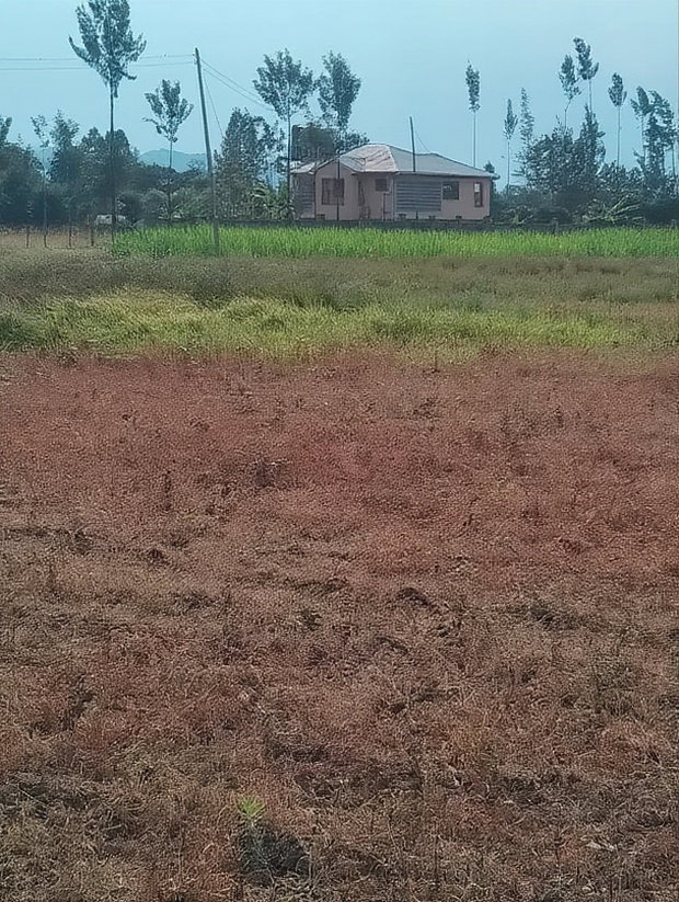 2 Acres at Rukanga Sagana Area 1.5km From Highway