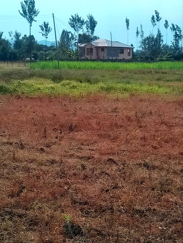 2 Acres at Rukanga Sagana Area 1.5km From Highway