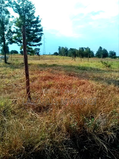 2 Acres at Rukanga Sagana Area 1.5km From Highway - Image 8