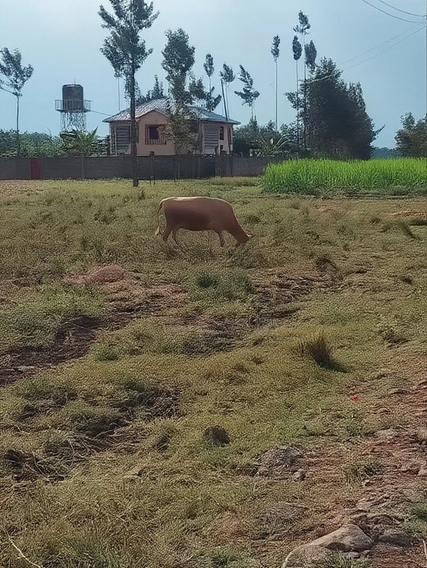 2 Acres at Rukanga Sagana Area 1.5km From Highway