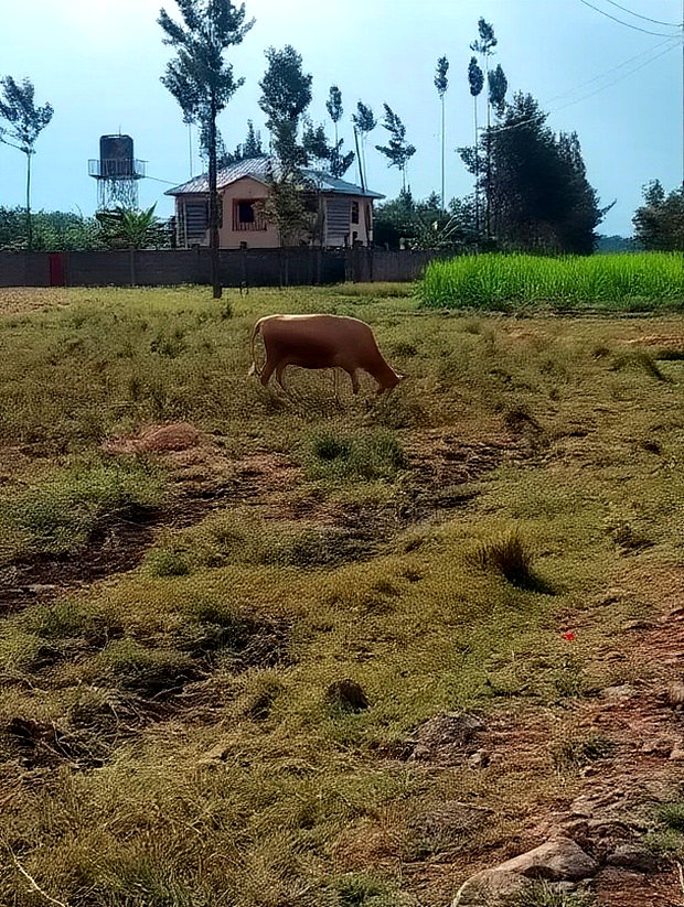 2 Acres at Rukanga Sagana Area 1.5km From Highway
