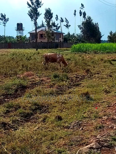 2 Acres at Rukanga Sagana Area 1.5km From Highway - Image 5