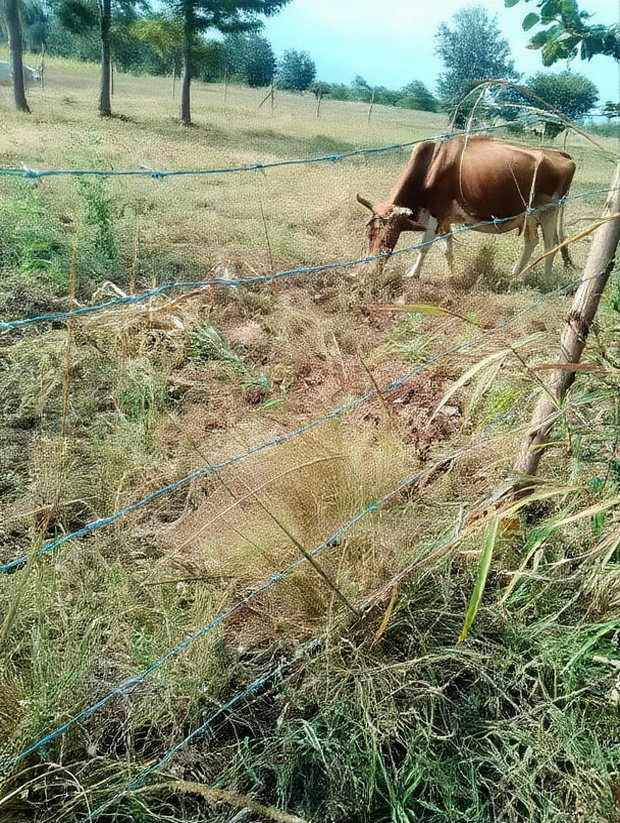 2 Acres at Rukanga Sagana Area 1.5km From Highway