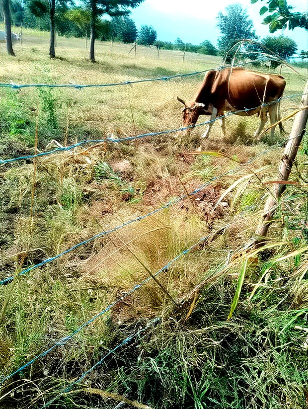 2 Acres at Rukanga Sagana Area 1.5km From Highway