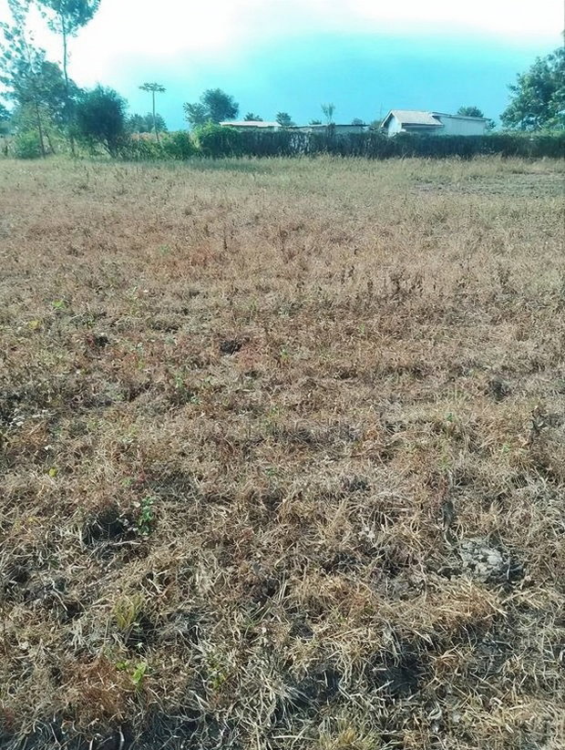 2 Acres at Rukanga Sagana Area 1.5km From Highway