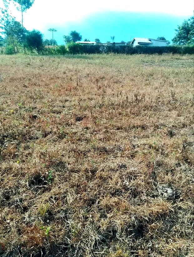 2 Acres at Rukanga Sagana Area 1.5km From Highway