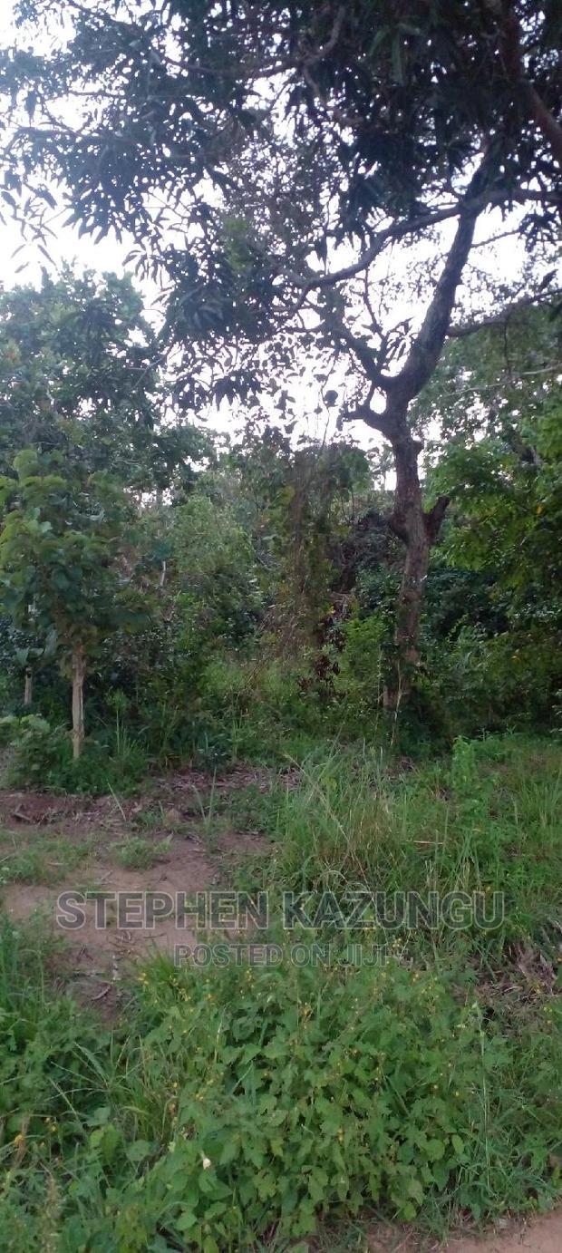 Nice 1/8 Acre Near Kwale at Tsimba About 5 KMS to Kwale Town.