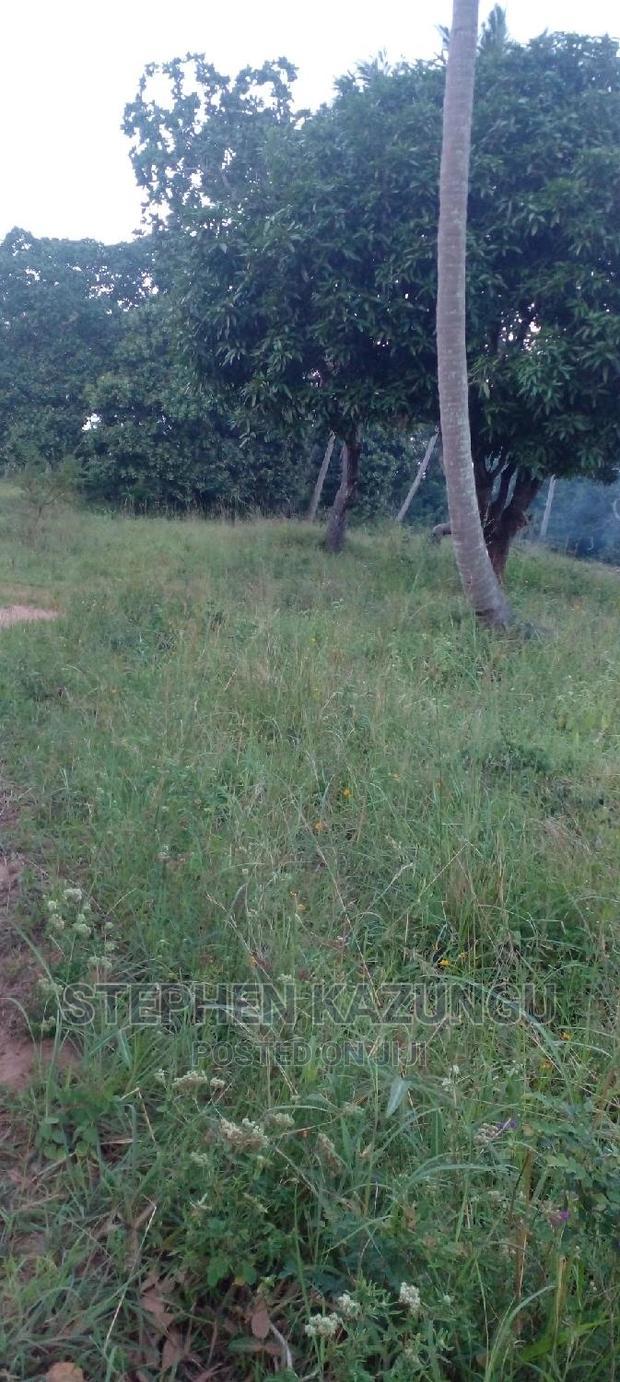 Nice 1/8 Acre Near Kwale at Tsimba About 5 KMS to Kwale Town.