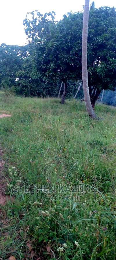 Nice 1/8 Acre Near Kwale at Tsimba About 5 KMS to Kwale Town. - Image 4